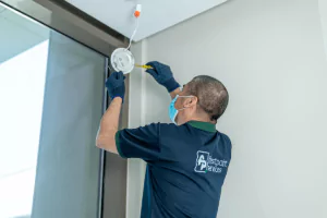 Our Eco-Friendly Approach Is Making a Difference
